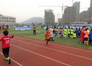 B体育官方入口-意甲球队青训培养多位未来之星