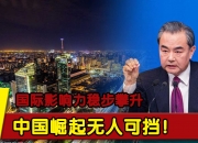 B体育平台-诺尔迎来胜利，积分稳步攀升的简单介绍