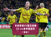 B体育娱乐-霍芬海姆主场告捷，实现近期连胜