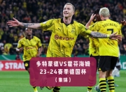 B体育娱乐-霍芬海姆主场告捷，实现近期连胜