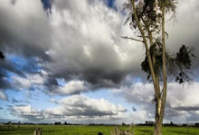 B体育电竞-新西兰：雄心勃发的先驱，勇往直前的未来之路